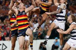 ng28-关于纽约尼克斯训练开放日，清晨战术微调引欢呼，欧联在即，身体对抗强度拉满的信息-ng28